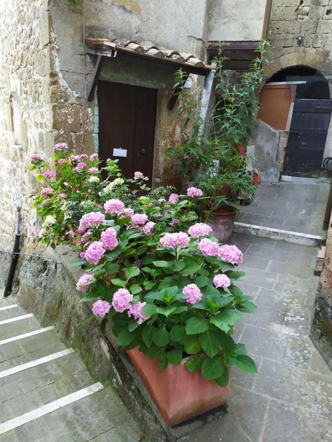 Apartament Mozzafiato Pitigliano Zewnętrze zdjęcie